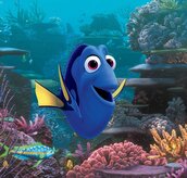 Find Dory